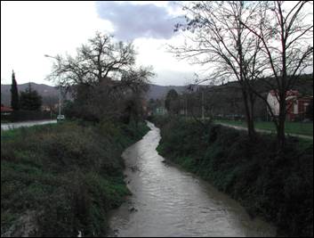 Il fosso della Bicchieraia verso est